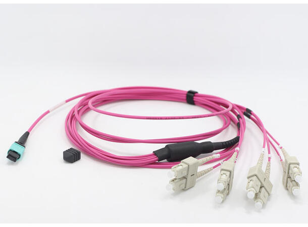 LinkIT MTP/MPO-B OM4 8c 1m USConec MTP Elite female - 8xSC | LSZH 