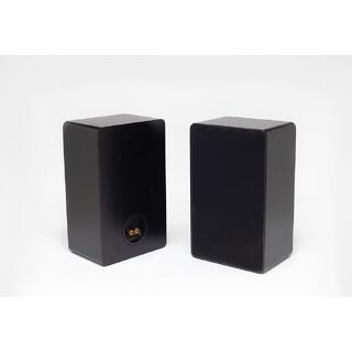 Stoltzen Tempest A120 Passive Speaker Black Gloss Finish | VESA100 | 120W